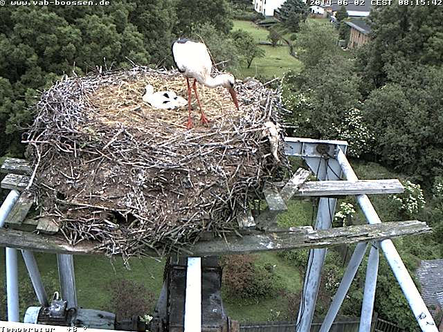 Bild