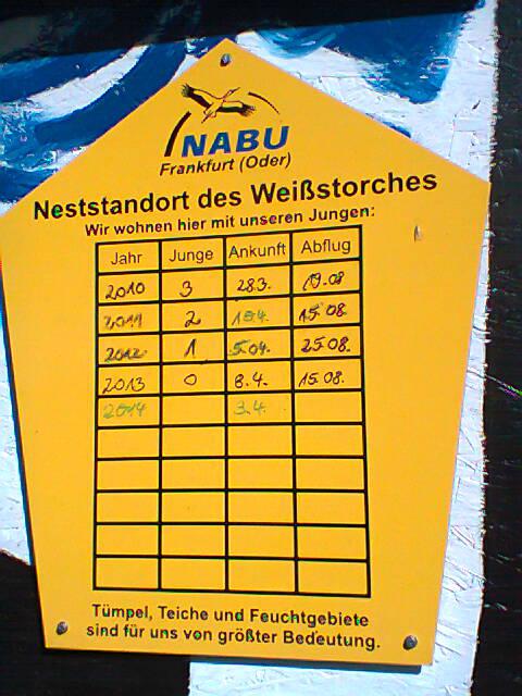 Bild
