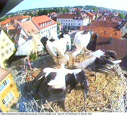 Bild