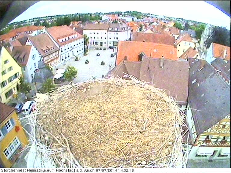 Bild