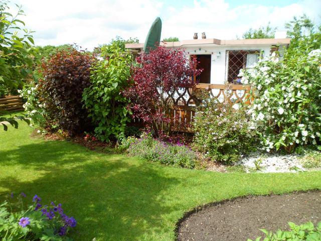 Vorschläge Blütenhecke Grundstücksgrenze Mein schöner Garten Forum