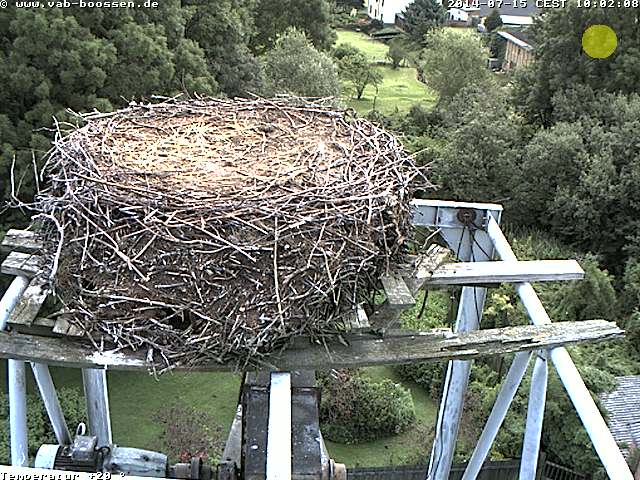 Bild