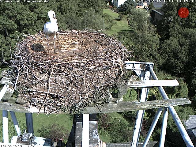 Bild