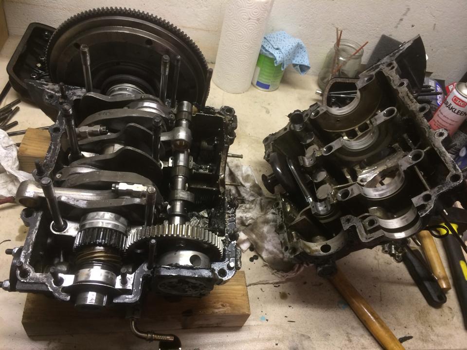 Bild