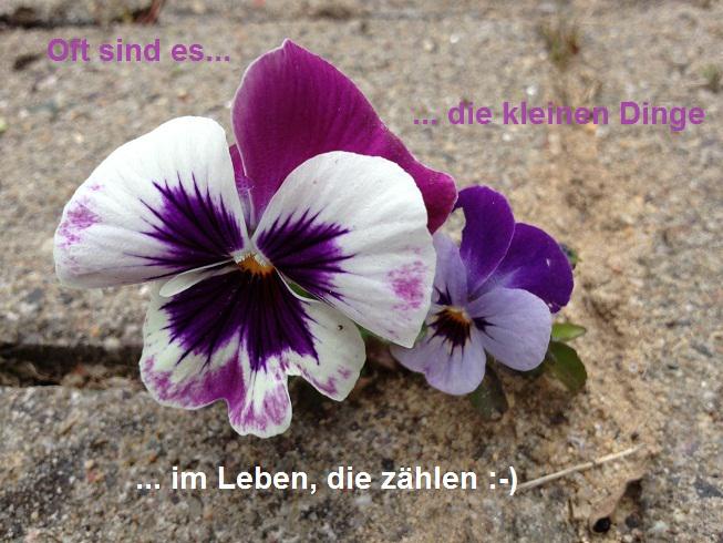 Zum Geburtstag Gratulieren Ja Oder Nein