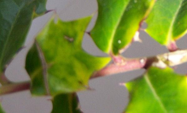 Bild