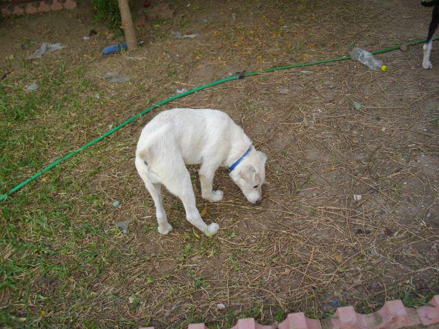 Bild