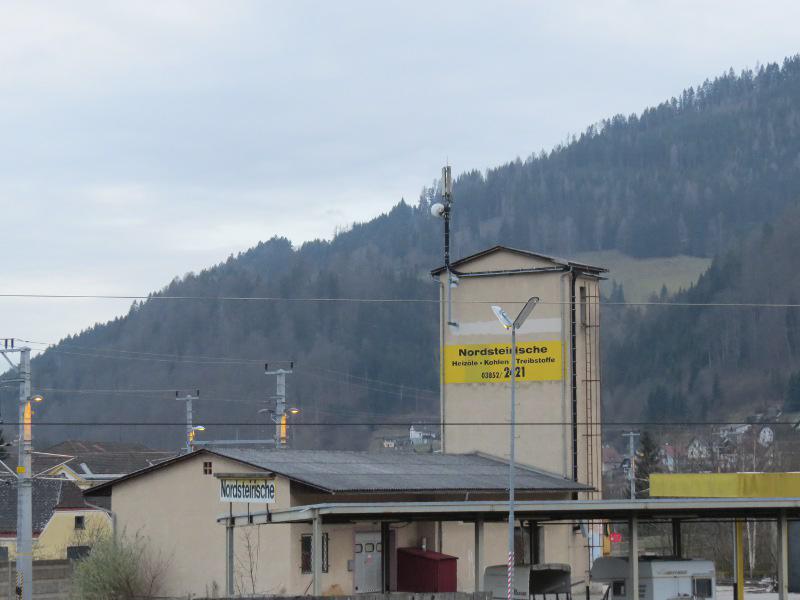 gehen spechte an dachsparren