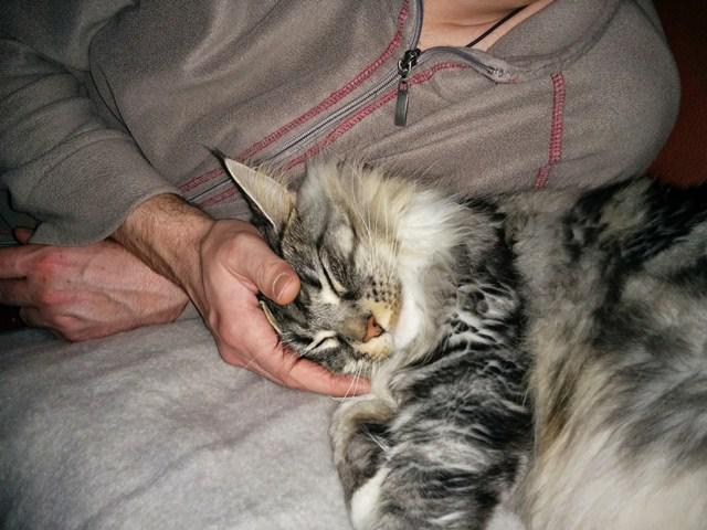 Bild