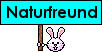 UserImage