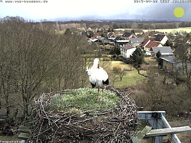 Bild