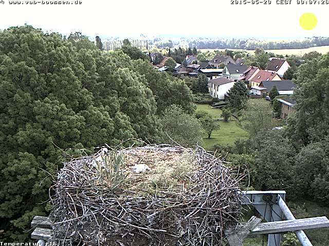 Bild