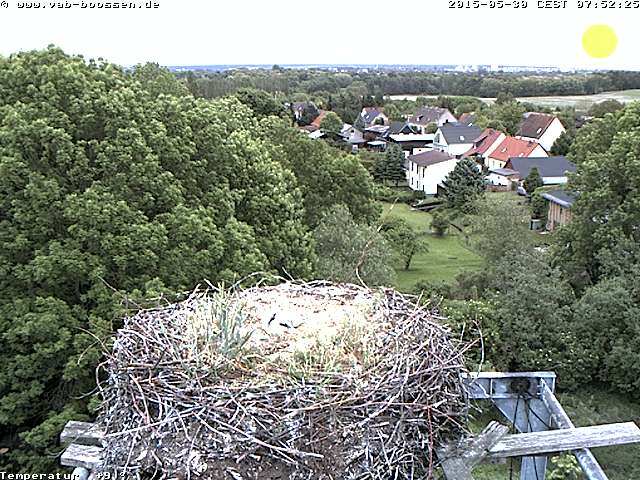 Bild