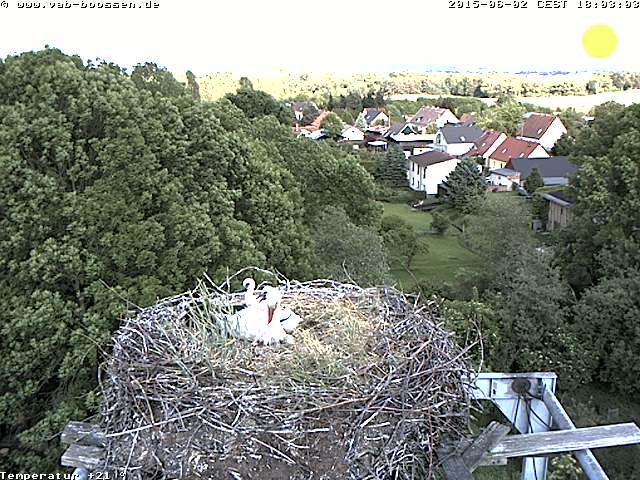 Bild