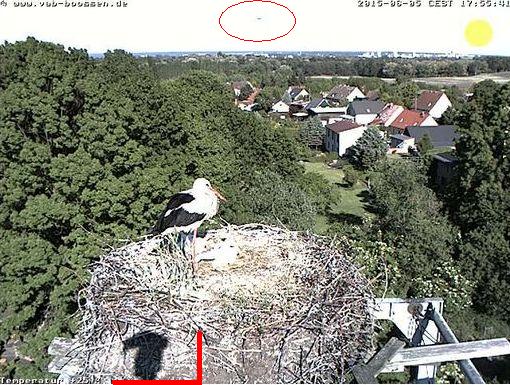 Bild