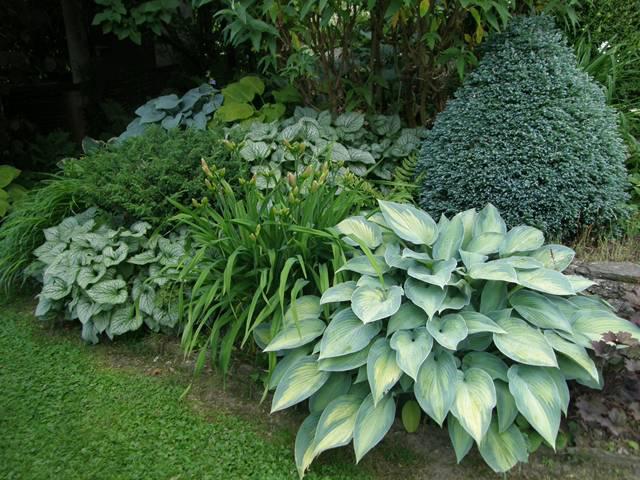 Bild