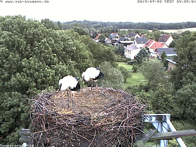 Bild