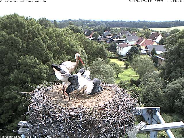 Bild