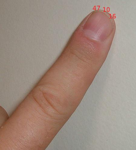 UserImage