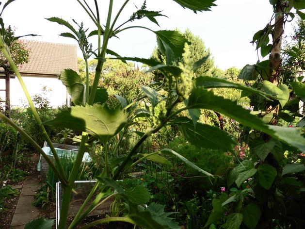 [Bild: d0xrrko0qrdmus8xr.jpg]