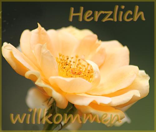 [Bild: d10h6vetg2gcogr62.jpg]