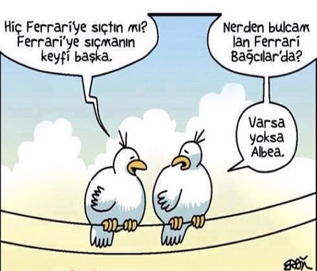 Resim