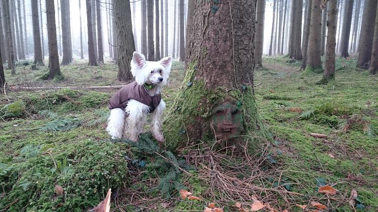 Bild