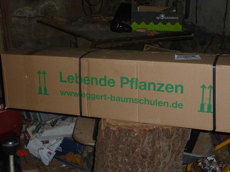 [Bild: d6vt063up89ox2lm3.jpg]