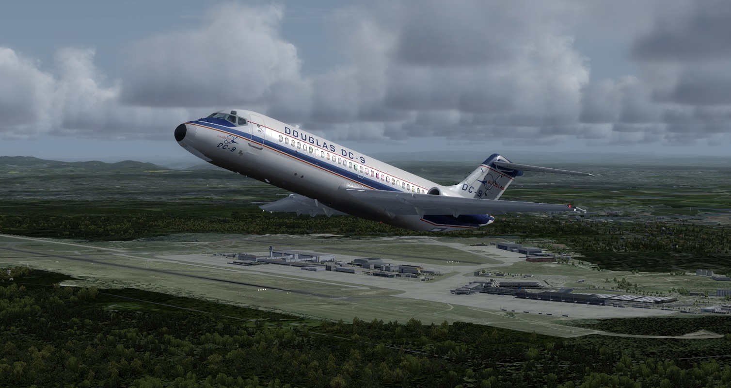 d81fbfqaq6tymxjcn.jpg