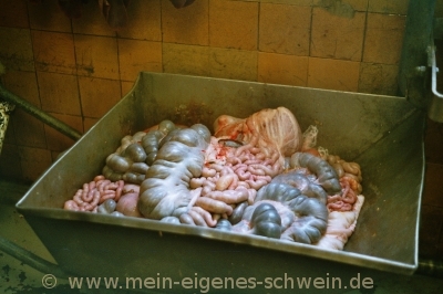 Brünette Schwanzfresserin Will Unbedingt Einen Schwanz Im Mund Haben Brünette Schwanzfresserin Will Unbedingt Einen Schwanz Im Mund Haben