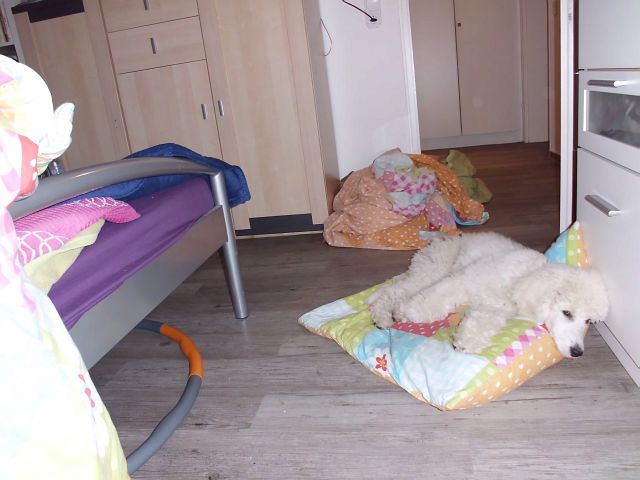Bild