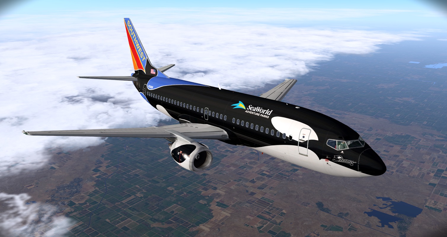 dewv1r256m91fge4z.jpg