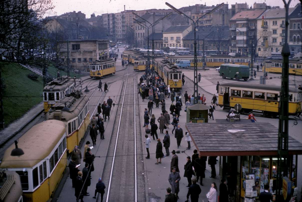 http://666kb.com/i/dkw5b6fxu1uhpjhrr.jpg