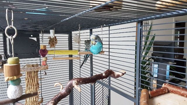 Bild