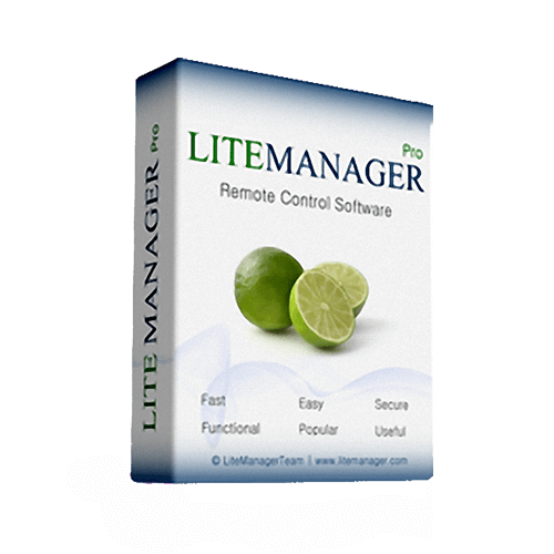 litemanager over internet