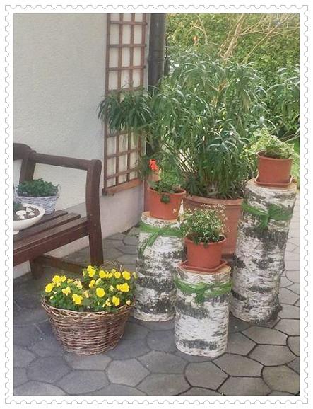 Treffpunkt Grün 724 - Mein schöner Garten Forum