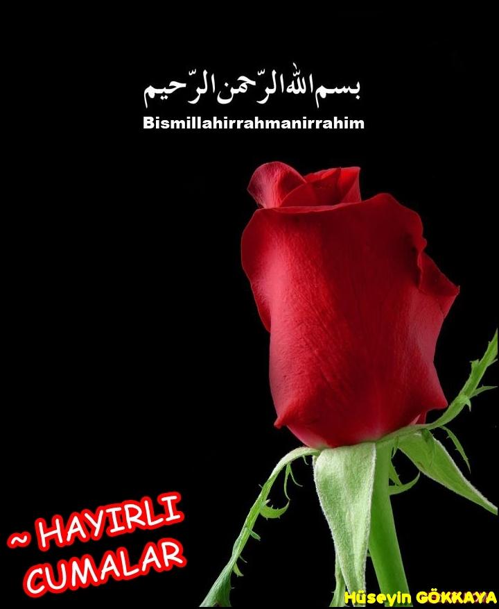bv7gwzacil4bh5hd1.jpg