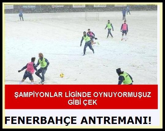 ck06qks8jqbc22t49.jpg